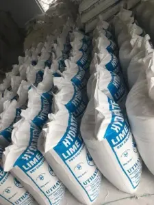 Read more about the article Chemical Properties of Calcium Hydroxide